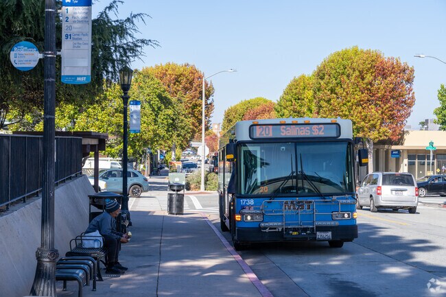 Fisherman's Flats/Josselyn Canyon have MST bus stops for convenient local travel.