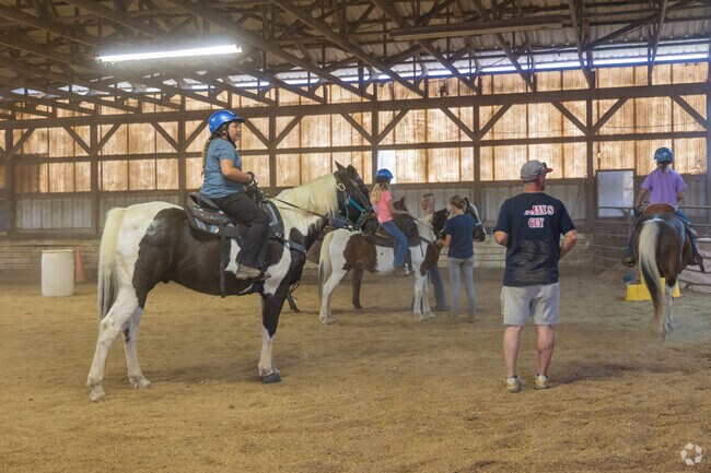 Skyline Stables near Plum Creek offers horseback riding lessons for riders of all skill levels.