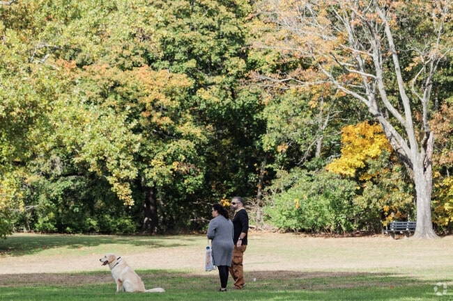 Dogs often play on the open lawns at Wanskuck Park in Charles.