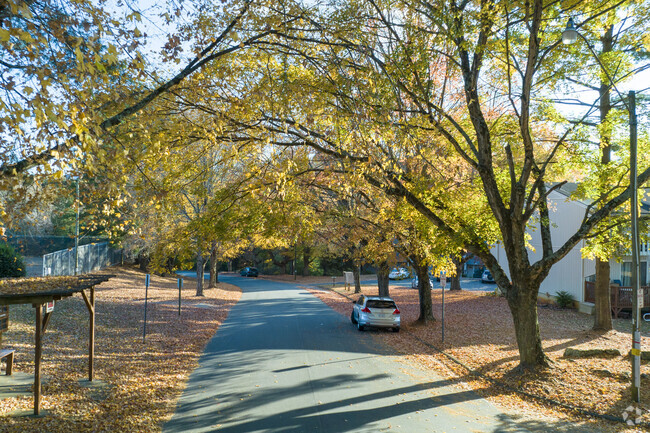 Beautiful Tree lined neighborhoods in Hootstown.