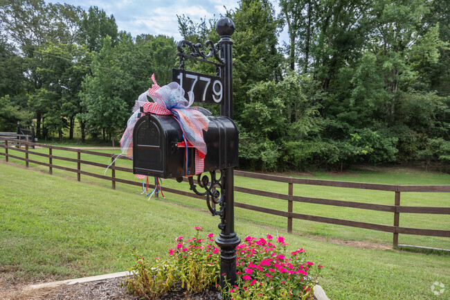 Flowers of all colors are in bloom in DeSoto County.