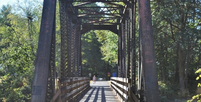 Bridge in a forested area
