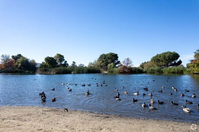 River Park in Lompoc is home to many waterfowl.