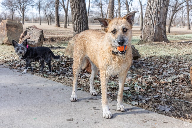 Just north of Prattville, Case Community Park has miles of paved trails to walk furry friends.