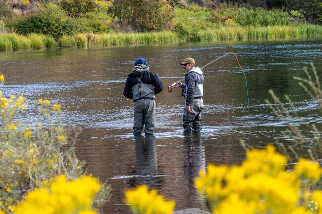 Perfect day for fly fishing in Deschutes River Woods—nature’s serenity at your doorstep.