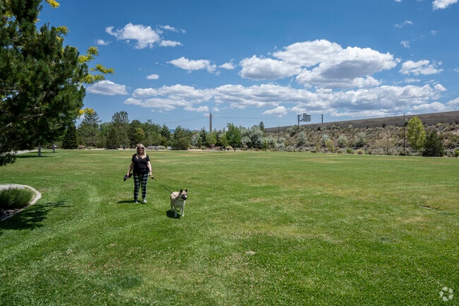 Northridge has great pocket parks throughout the community which locals love taking their dogs to.