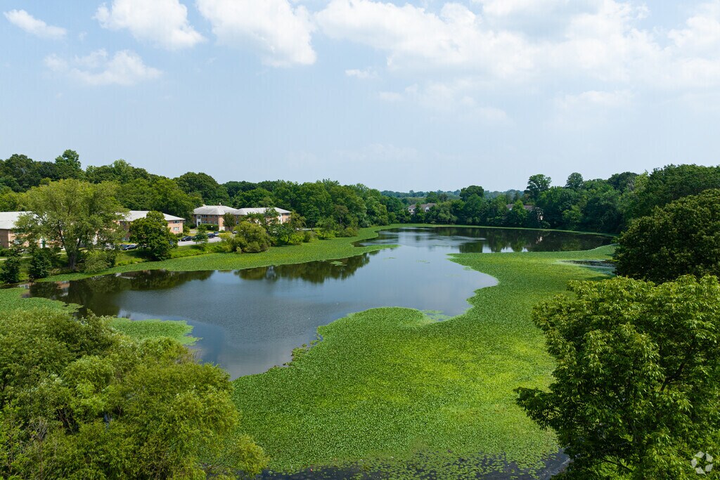 About Colonial Heights Schools, Demographics, Things to Do