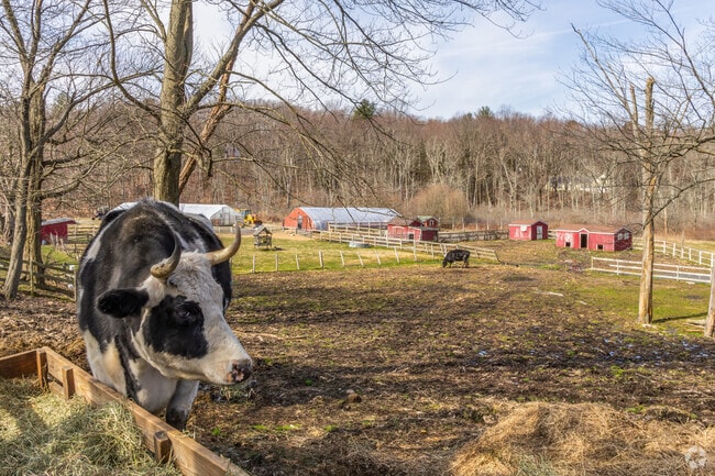 Explore the farm life at the Silverman's farm in Easton.
