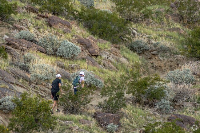 Take a hike through the hills near Araby Cove.