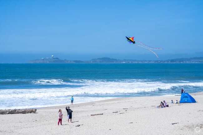 Kite enthusiasts in Half Moon Bay enjoy the coastal winds, flying kites on the beach.