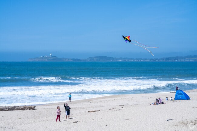 Kite enthusiasts in Half Moon Bay enjoy the coastal winds, flying kites on the beach.