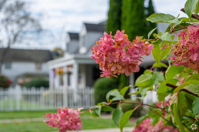 Flowers blossom in the neighborhood of Avoca making for a beautiful neighborhood walk.