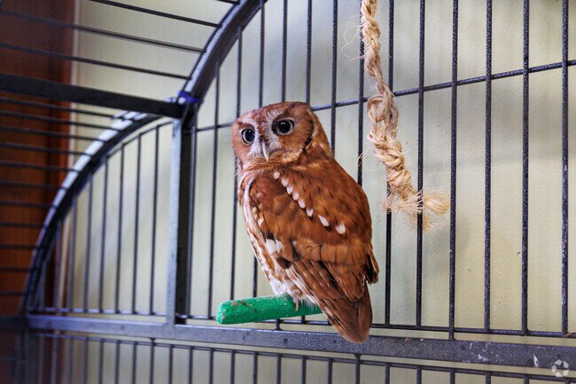 You never know who you might meet while exploring the Carrie Murray Nature Center near Tremont.
