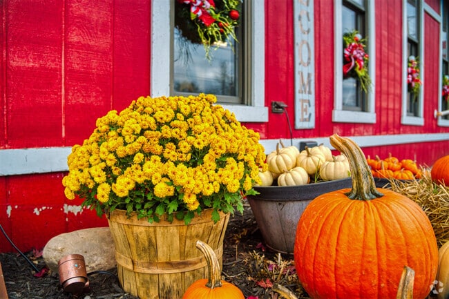 Seasonal blooms and pumpkins greet residents at Lu-Lou’s Cafeteria near Independence Township.
