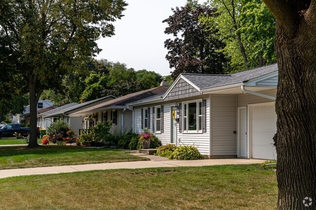Tall, old-growth trees line the streets providing ample shade to properties in Starlite.