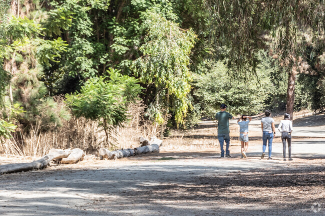 Find trails with trees and views all around Friendly Hills in Whittier.