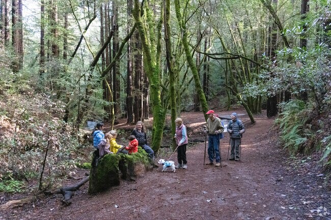 Children play in a tree trunk as hikers pass by at Dawn Falls Trailhead.