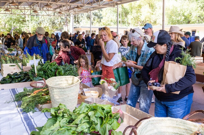 Green Mountain Falls locals buy some produce from local farmers at the Annual Farm & Art Market.