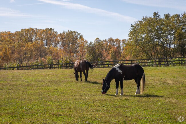 Plenty of room for ponies in Harwood.