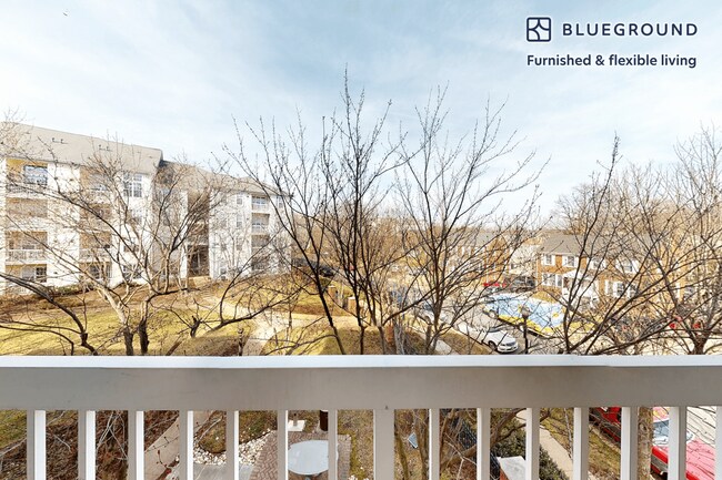 2350 26th Ct S unit FL1-ID8008A, Arlington, VA 22206 - photo 4