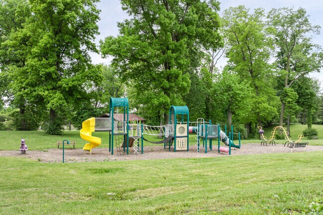 McCabe Park is full of fun and excitement.