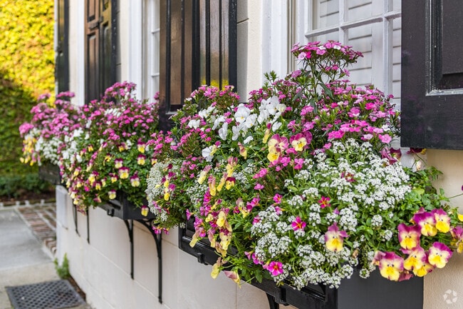 Window flower boxes on the streets of the French Quarter.