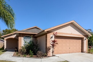 535 Royal Ridge St, Valrico, FL 33594