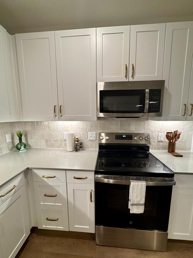 1301 Leah Ave unit FL1-ID1355780P, San Marcos, TX 78666 - photo 4