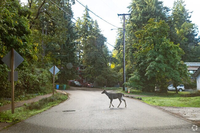Wildlife in the Crest Drive Neighborhood in Eugene.