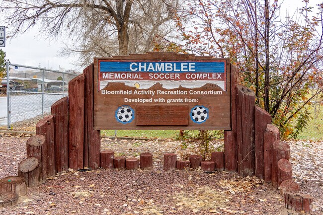 Locals gather at Chamblee Park for soccer and community events.