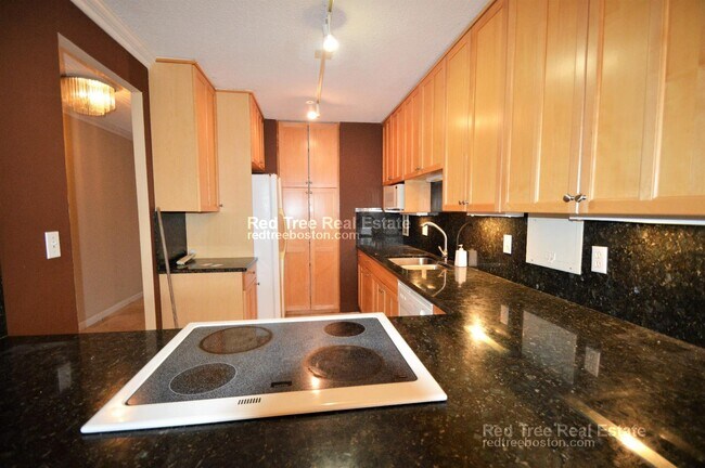30 Longwood Ave unit 3, Brookline, MA 02446 - photo 4