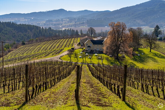 The David Hill Vineyard sits on a historic estate with rich history in the Willamette Valley wine scene.