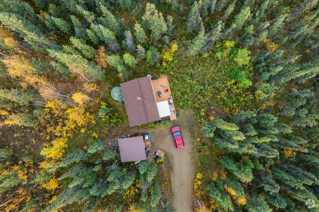 Many homes in Ester are surrounded by tall, mature trees that create a sense of privacy.