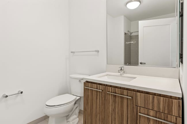 325 W Wolf Point Plaza, Chicago, IL 60654 - photo 2