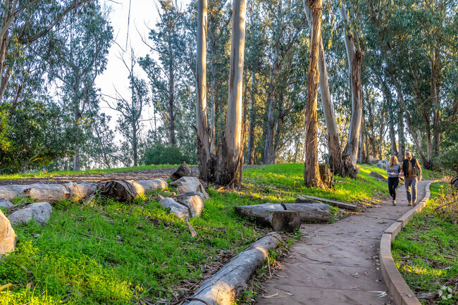 Enjoy the relaxing walk and the serene surroundings at Albany Hill Park.