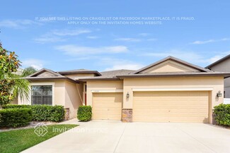 11624 Shelby Jay Dr, Riverview, FL 33579