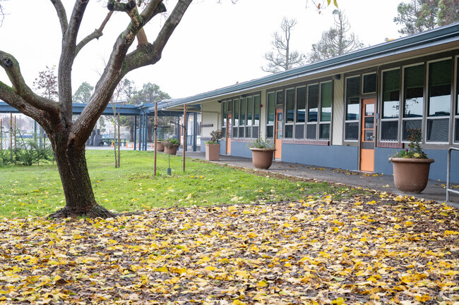 McDowell Elementary School has dozens of effective and excellent teachers and staff.