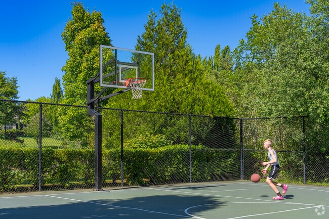 Basketball courts at King City Community Park host casual games.