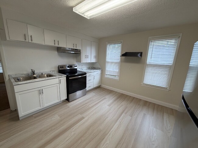 347 4th Ave S unit 2, South Saint Paul, MN 55075 - photo 2