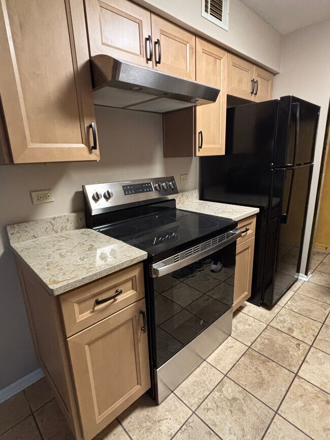 2632 Pirates Cove unit 2632 Pirates Cove 6, Schaumburg, IL 60173 - photo 6