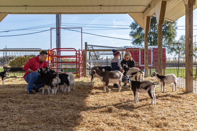 A Washington Township family gets up  close with nature at Westview Orchards.