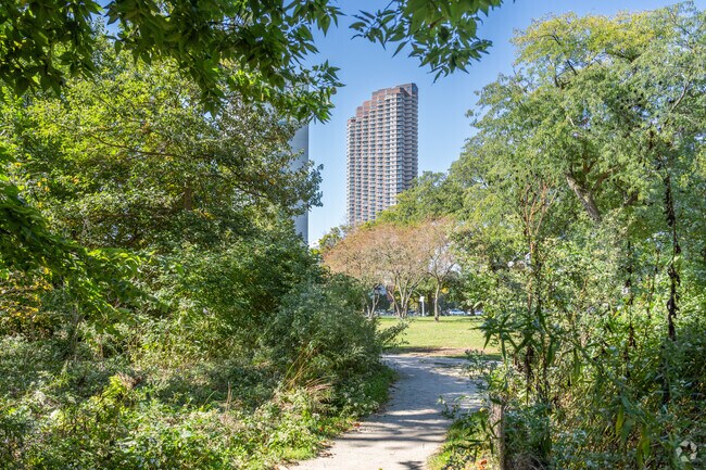 Find solace in nature at Bill Jarvis Migratory Bird Sanctuary.