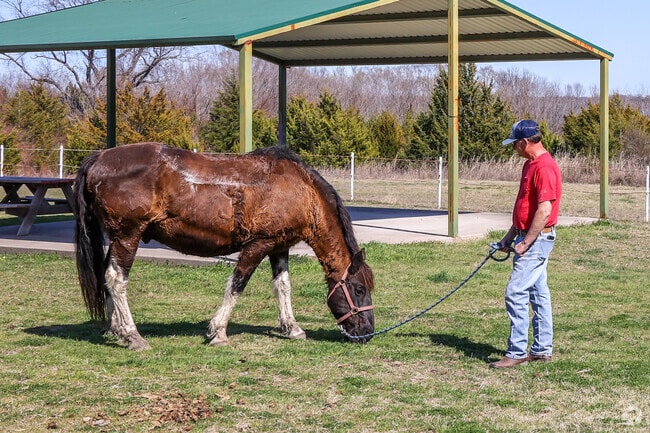 It is important to let your horse cool down after a long ride at Highland Park Equestrian Trail.