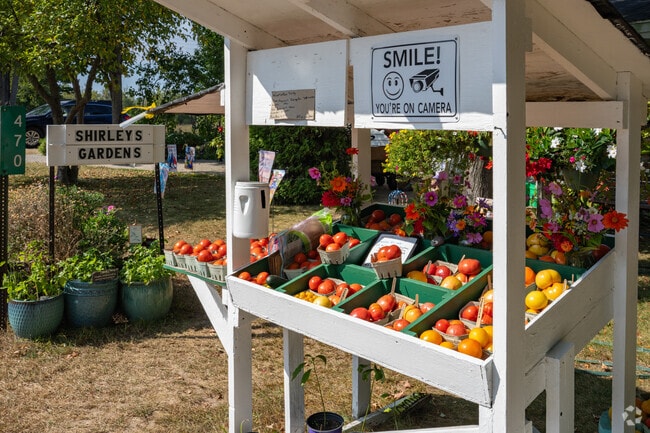 A variety of pop-up farm stands can be found throughout Lake Leelanau.