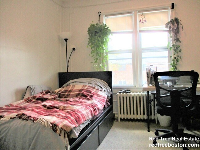 58 Bellvista Rd unit 2, Brighton, MA 02135 - photo 6