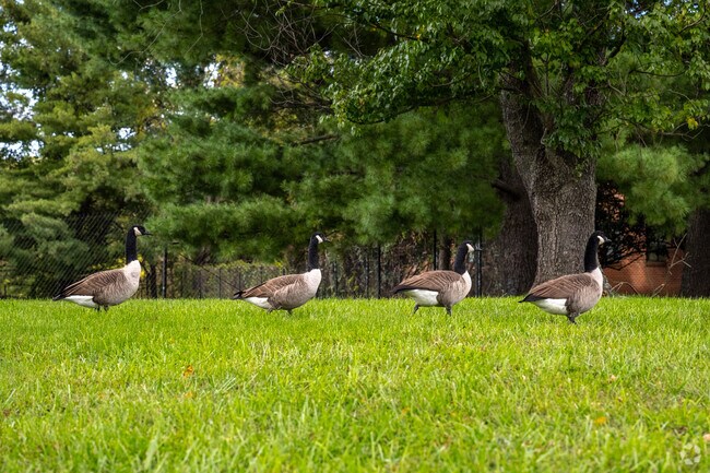 Enjoy seeing the wildlife around you in Reisterstown Station.
