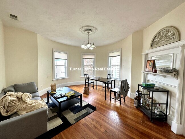 8 Carmel St unit 3, Roxbury Crossing, MA 02120 - photo 2