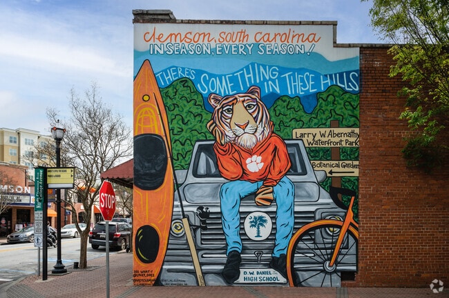 Clemson is a college town with a strong academic curriculum.