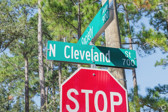 Cleveland Street is the central anchor of the Cleveland Heights neighborhood, bisecting it.