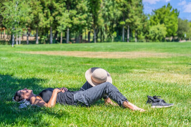 A lady enjoys a nap on the lawn at Newhall park during the long summer day.